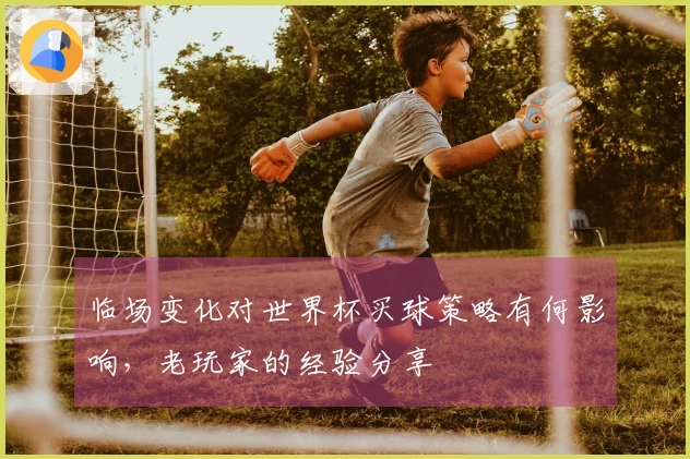 临场变化对世界杯买球策略有何影响，老玩家的经验分享