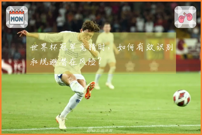 世界杯冠军竞猜时，如何有效识别和规避潜在风险？