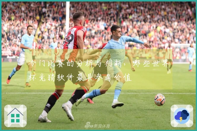 冷门比赛的分析与判断，哪些世界杯竞猜软件最具参考价值