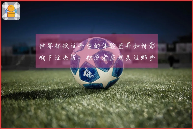 世界杯投注平台的体验差异如何影响下注决策，初学者应该关注哪些方面？