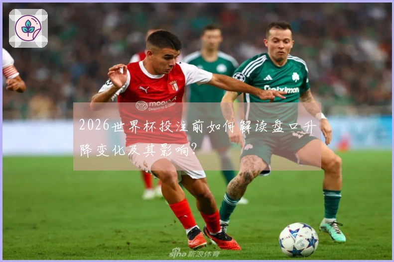 2026世界杯投注前如何解读盘口升降变化及其影响？