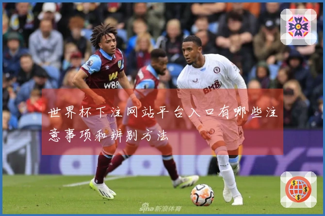 世界杯下注网站平台入口有哪些注意事项和辨别方法