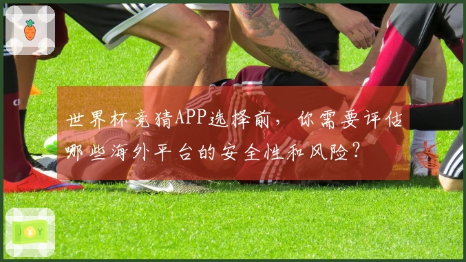 世界杯竞猜APP选择前，你需要评估哪些海外平台的安全性和风险？