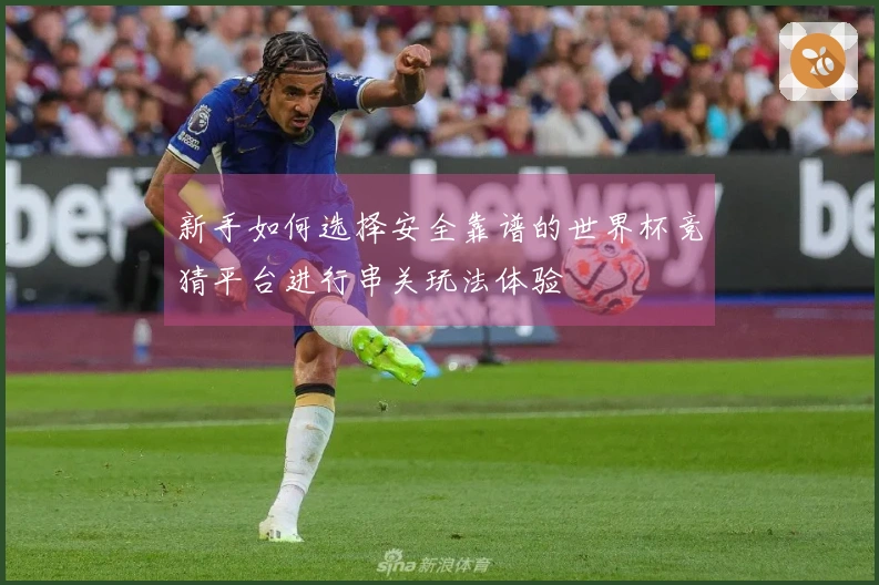 新手如何选择安全靠谱的世界杯竞猜平台进行串关玩法体验