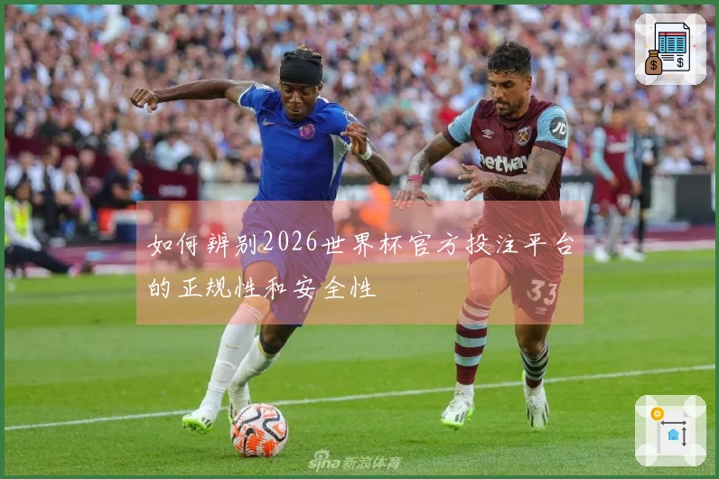 如何辨别2026世界杯官方投注平台的正规性和安全性