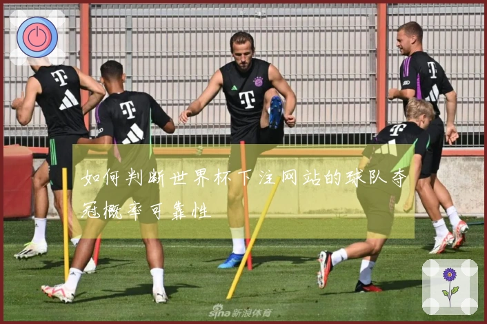 如何判断世界杯下注网站的球队夺冠概率可靠性