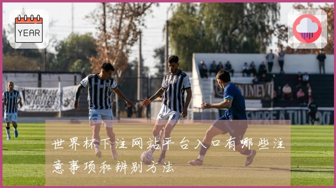 世界杯下注网站平台入口有哪些注意事项和辨别方法